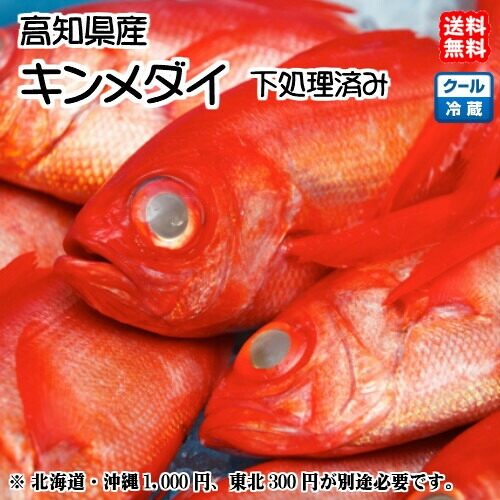 金目鯛 キンメダイ(800~1,000g) 送料無料(北海道・沖縄・東北は別途送料)